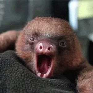 Meet your Posher, 탁